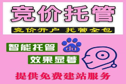实战案例：SEM专员如何优化广告